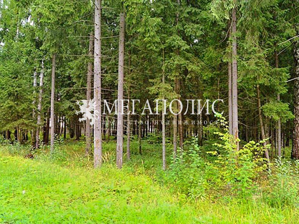 Коттеджный поселок ПЖСК Полесье купить дом -big- 44490