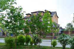 Коттеджный поселок Rubin Estate. КП Рубин Эстейт - 31112