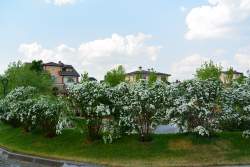 Коттеджный поселок Rubin Estate. КП Рубин Эстейт - 31122