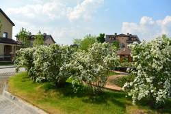 Коттеджный поселок Rubin Estate. КП Рубин Эстейт - 31137